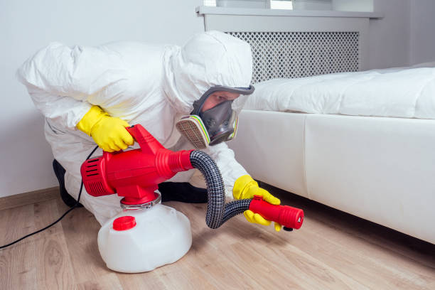 Best Pest Prevention Services  in Old Town, ME